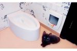 Туалет для кошек KOPFGESCHEIT KG7010DC унитаз
